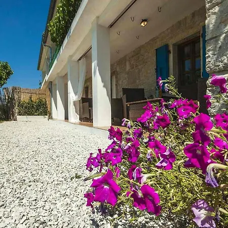 Ferienhaus Casa Atilio Ana *